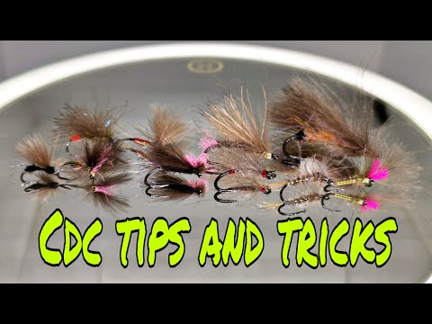 Видео: Советы и рекомендации CDC (обсуждение и советы по CDC, как его использовать 100%)