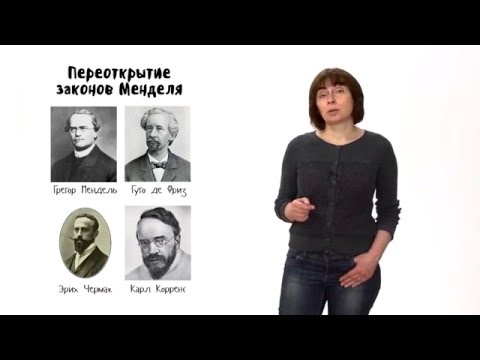 Видео: Эволюция - 3. Синтетическая теория эволюции - часть 1. 10 - 11 класс