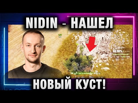 Видео: NIDIN ● НАШЕЛ НОВЫЙ КУСТ!