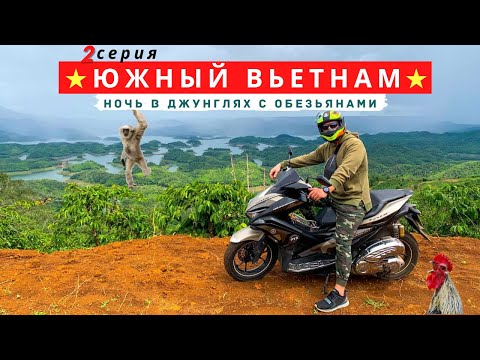Видео: Это вам не Нячанг! Вот как выглядит настоящий Вьетнам / Южный Вьетнам: 2 серия