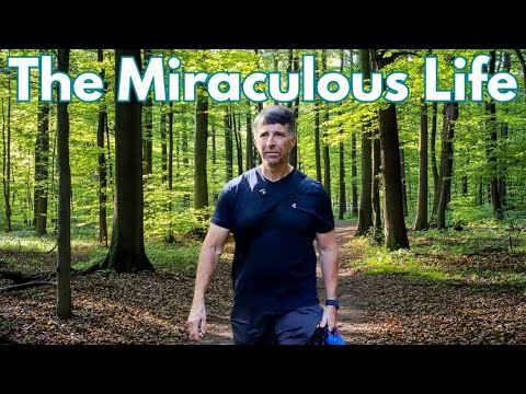 Видео: 8 жестоких истин, которые изменили мою жизнь