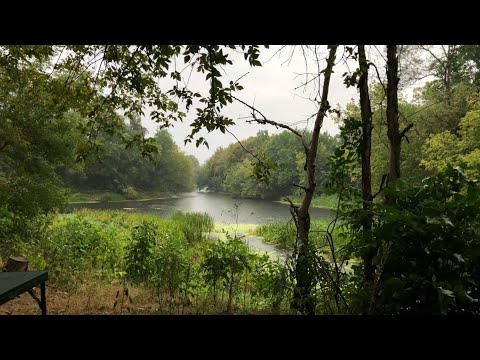 Видео: Рибалка в дощ на Сулі 22.08.25