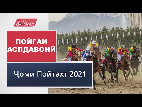 Видео: Пойгаи аспдавонӣ. Ҷоми Пойтахт 2021