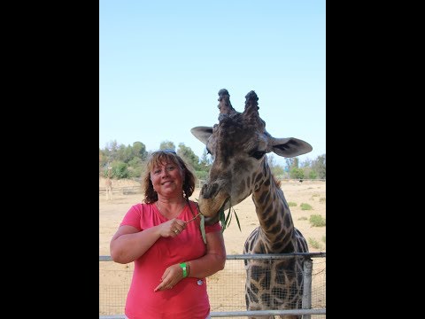 Видео: Зоопарк Фригия, Тунис