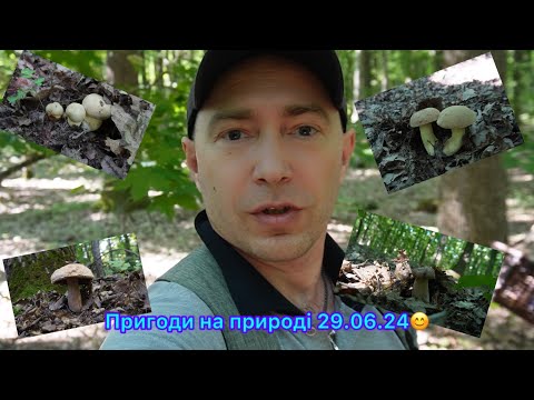 Видео: 4К Пригоди на природі 29.06.24😊Вінниччина😊