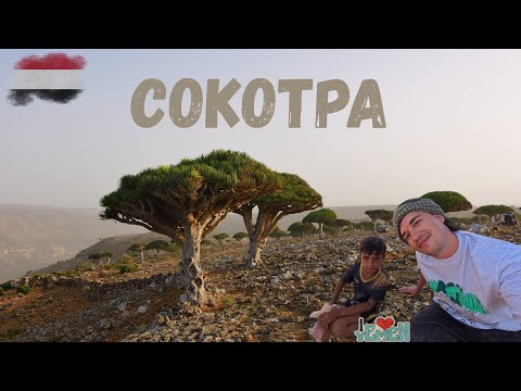 Видео: Сокотра | Самый инопланетный остров в мире [Eng Sub]