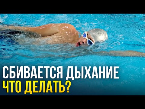 Видео: Почему сбивается дыхание при плавании? Что делать новичкам?