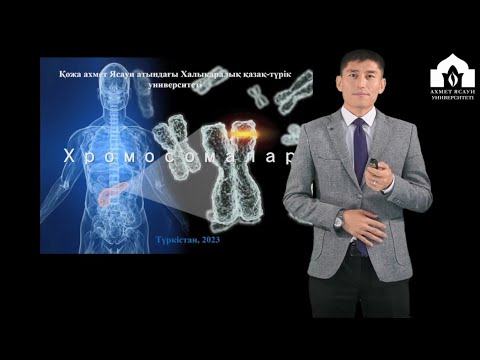 Видео: Дәріс-1. Хромосомалар, жіктелуі, құрылысы мен қызметі.