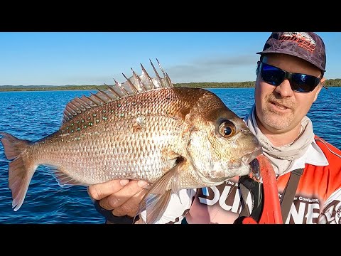 Видео: Как ловить рыбу на мелководье залива Мортон с помощью мягкого пластика