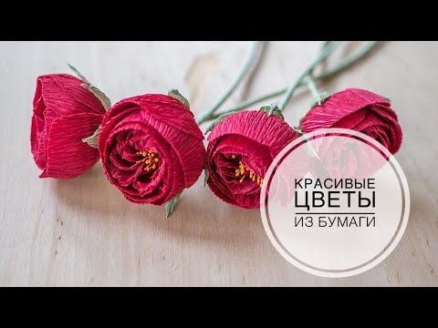 Видео: Small peony rose / Маленькая пионовидная роза / DIY Tsvoric