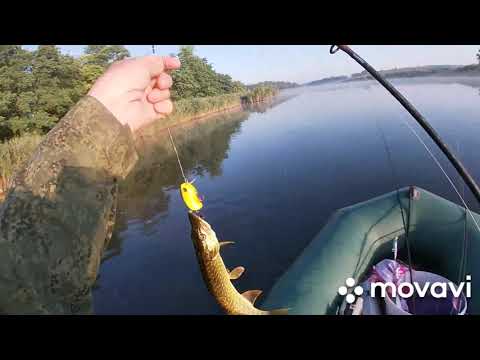 Видео: День Рыбака.Ловля щуки на Челбасе.