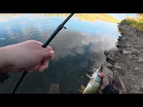 Видео: Осваиваю рыбалку на хищника! Первая щука!