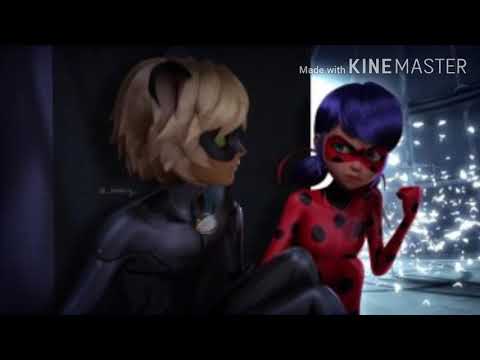 Видео: ~ Фанфик 🐾леди баг и супер кот🐾 •|Новенькая|• ✨глава 1✨ ~