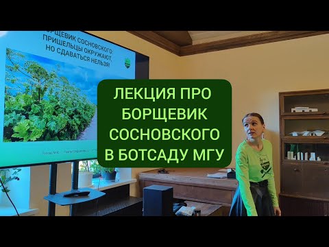 Видео: Лекция о борщевике Сосновского в ботаническом саду МГУ, октябрь 2022