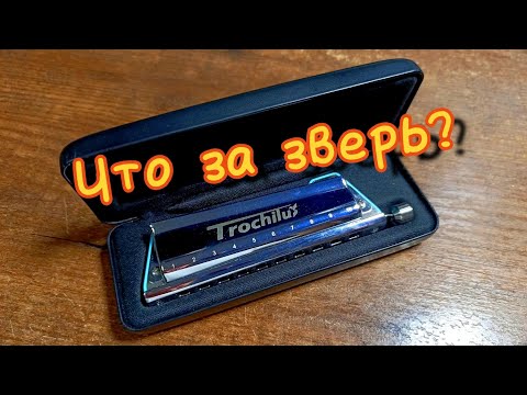 Видео: JDR "Trochilus" обзор