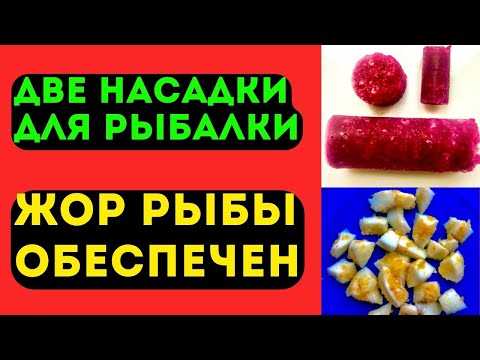 Видео: Две насадки для рыбалки на КАРАСЯ, ЛЕЩА, КАРПА. ЖОР рыбы всё ЛЕТО.