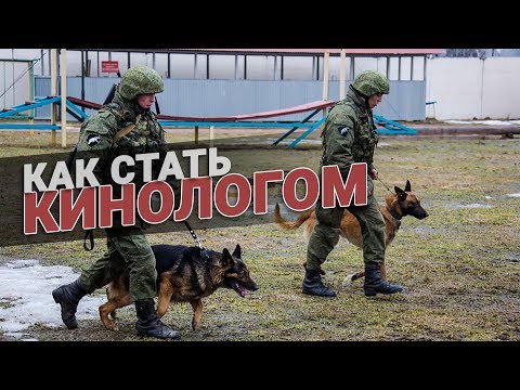 Видео: Как стать кинологом
