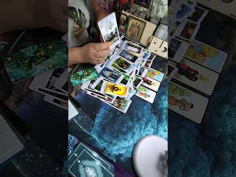 Видео: Враги сами себе копают яму?