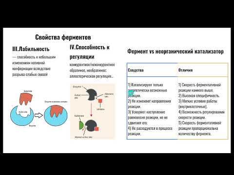 Видео: Ферменты