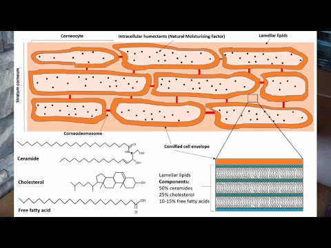 Видео: Глицерин в косметике. О чем не говорят бьюти-блогеры. Действительно ли он сушит кожу?