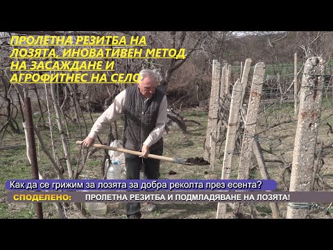 Видео: ПРОЛЕТНА РЕЗИТБА НА ЛОЗЯТА И АГРОФИТНЕС