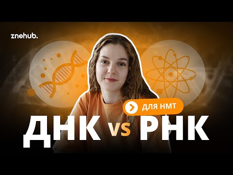 Видео: ДНК VS РНК для НМТ | ZNOHUB