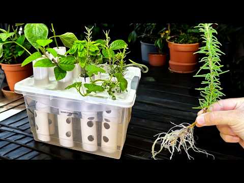 Видео: 💧Машина, которая укореняется в десять раз быстрее