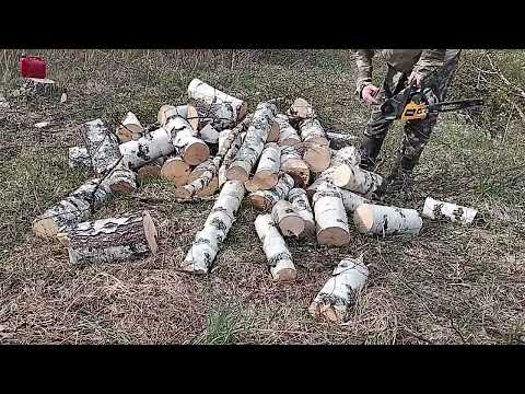 Видео: Мотокультиватор Huskwarna TF-230 с прицепом.Пилим Partner 350...