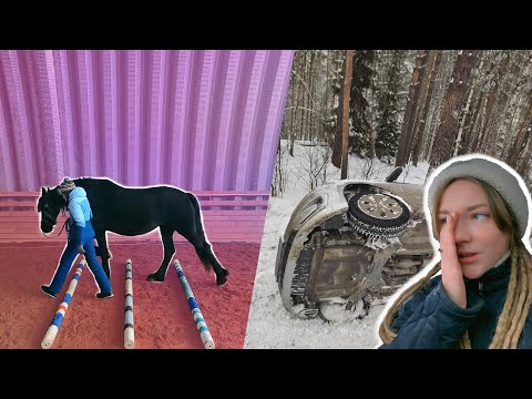 Видео: Едем работать лошадей | ДТП по дороге в конюшню