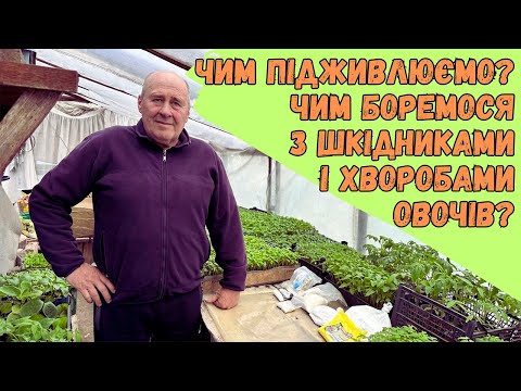 Видео: Чим підживлюємо? Чим боремося з шкідниками і хворобами овочів?
