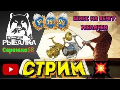 Видео: 🔴 СТРИМ РР4┃🎁 РОЗЫГРЫШИ премов и золото┃🏆 ТУРНИРЫ┃👉Шанс на ВЕНГУ высок┃Сережка68