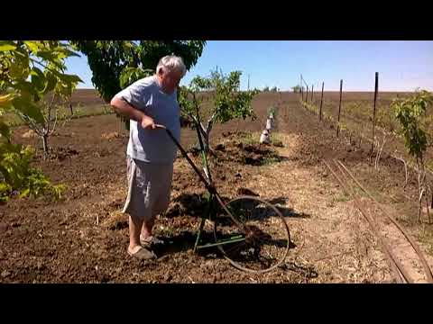 Видео: самодельный "велосипедный" плоскорез