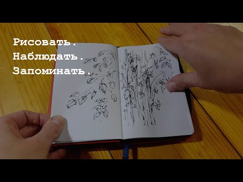 Видео: Скетчбук наблюдений