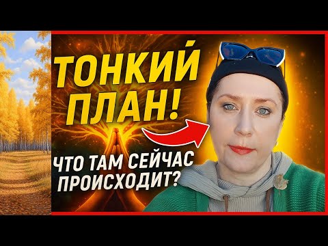 Видео: Тонкий план! Что там сейчас происходит?