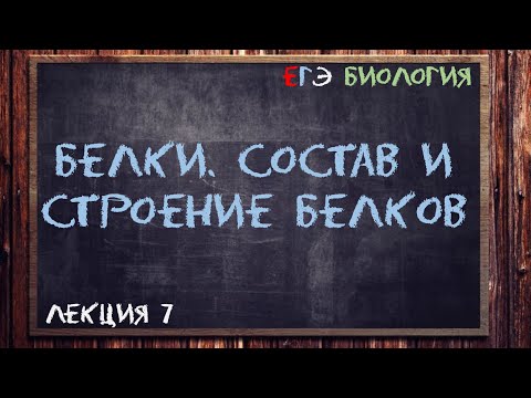 Видео: Л.7 | БЕЛКИ | Состав и строение белков | ОБЩАЯ БИОЛОГИЯ ЕГЭ