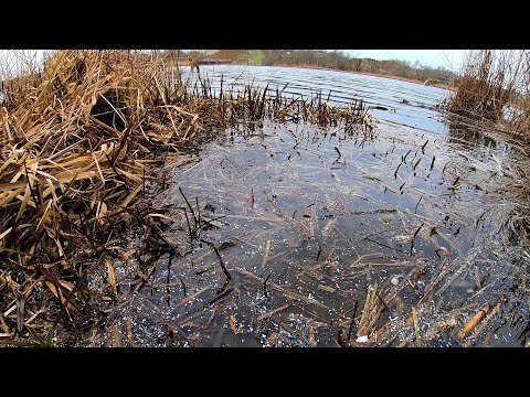 Видео: Риба зайшла на мілину. Зламав фідер.