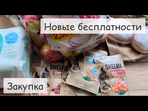 Видео: Закупка на неделю для семьи в Германии с ценами. Новые акции.