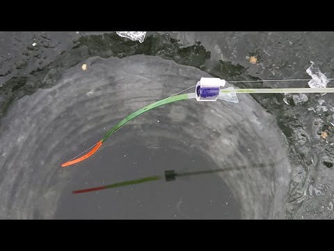 Видео: ТАКИХ РЫБ НА БЕЗМОТЫЛКУ Я ЕЩЁ НЕ ЛОВИЛ...