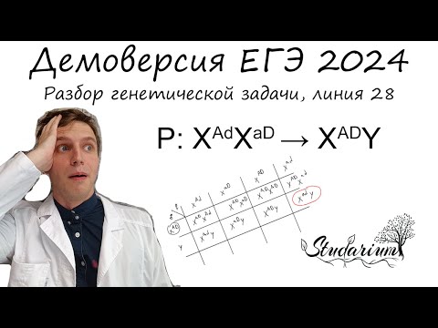 Видео: Разбор генетической задачи из демоверсии ЕГЭ по биологии 2024