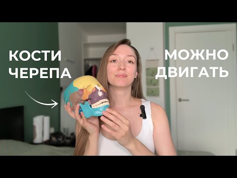 Видео: Какие упражнения для костей черепа убирают все проблемные зоны на лице