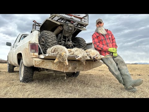 Видео: Как я делаю вощеный песок #historychannel #mountainmen #wolftrapper #coyote #coyotetrapper #offgrid