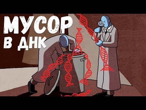 Видео: Зачем нам мусор в ДНК? Александр Панчин на QWERTY