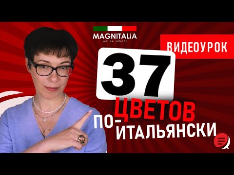 Видео: Цвета по-итальянски. Итальянский для начинающих. #итальянскийязык #итальянскийязыкснуля #италия