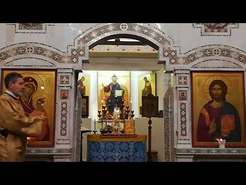 Видео: "Иже Херувимы... 