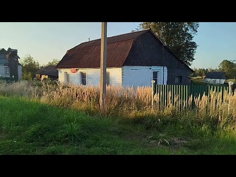 Видео: Уй сотилади 40 соток 70м²  Ферма, Пилорама, қўшни ўзбек оила, Шаҳар 25км, Автобус қатнайди