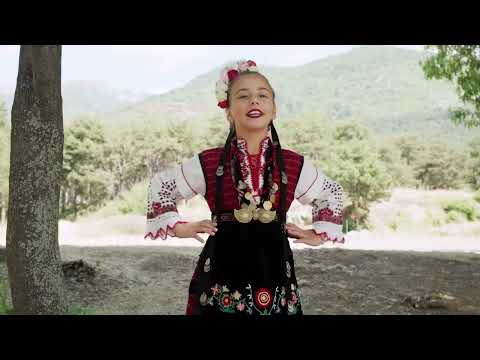 Видео: Дария Ташева  - Богдан Войвода