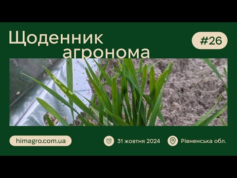 Видео: Виявили шкідників на озимих культурах / Рівненщина / Щоденник Агронома #26