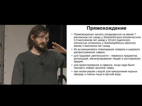 Видео: Станислав Дробышевский. Мини-курс Антропология 3