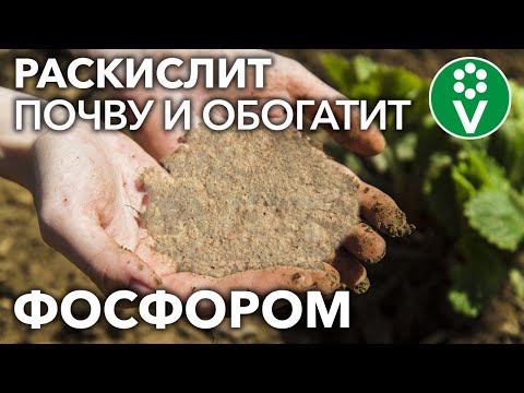 Видео: ЭТО ЛУЧШЕЕ ФОСФОРНОЕ УДОБРЕНИЕ ДЛЯ КИСЛЫХ ПОЧВ!