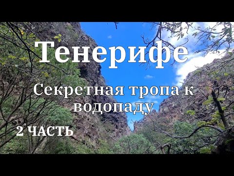 Видео: Тенерифе.Секретная тропа к водопаду. 2 часть.